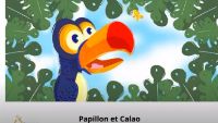 Papillon et Calao