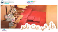 فأر في بيت تامر