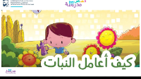 كيف أعامل النبات
