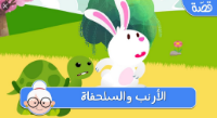الأرنب والسلحفاة - فيديو