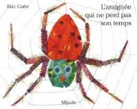 L'araignée qui ne perd pas son temp 