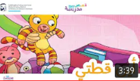 أين قطتي